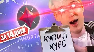 Результат курса тренировки с ПРО игроком Valorant