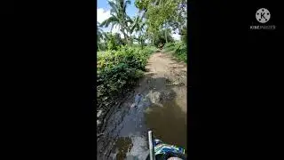 putikan😥😥