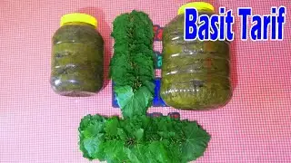 Asla Bozulmayan Yaprak Salamura Tarifi | Salamura Yaprak Nasıl Basılır?