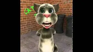Talking Tom-the ORIGINAL by CHAD BRAWLEY