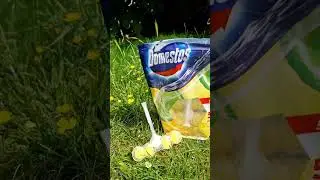 Туалетный блок Domestos #domestos #domestoslime #туалет #туалетныйблок #туалетныйутенок