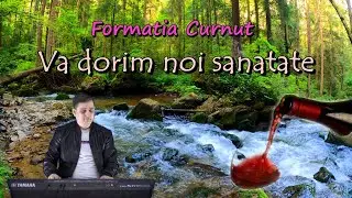 Formatia Curnut (Группа Курнуц) - Va dorim noi sanatate, muzica moldoveneasca de petrecere 
