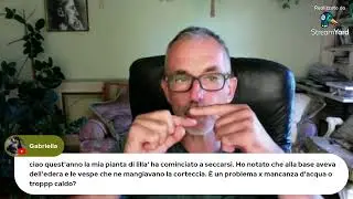 Parliamo di arbusti?