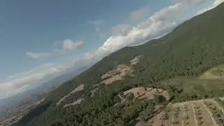 Doğada bir drone