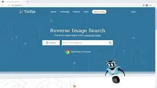 Reverse Image Search Using TinEye