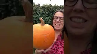 Have you got a pumpkin plan?
