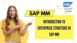 Introduction to Enterprise Structure in SAP MM