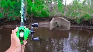 WALMART Topwater ONLY Bank Fishing Challenge (HUGE BASS)