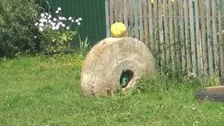 MD 4030 ПОДВЁЛ И АСЬКА 250 НЕ НАШЛА СТОЛЬКО СКОЛЬКО НАШЕЛ Я ГЛАЗАМИ.