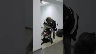 Шопоголик не хочет избавляться от вещей | Моя маленькая странность