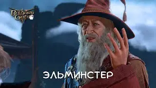 ЭЛЬМИНСТЕР - Baldur's Gate 3 #29