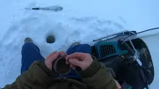 Лесная избушка, 1-я часть ! рыбачим 11-12 марта 2022 года! Налим.Готовлю ужин в лесной избушке!