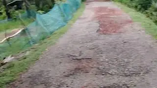 আমাদের গ্রামের সুন্দর দৃশ্য,,