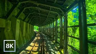Green Summer Ride in Nagano / 8K 60fps HDR / Calm Piano + Natural Ambience