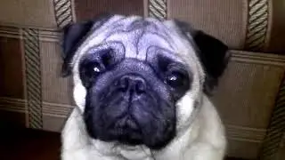 VID 20160822 182956