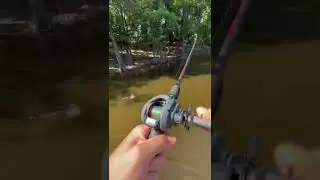 Bass fishing: river bass on the plastic worm