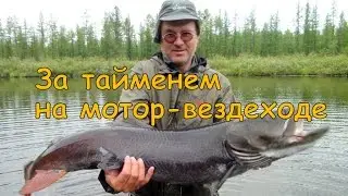 За тайменем на мотор-вездеходе.