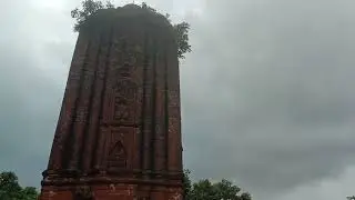 #viral