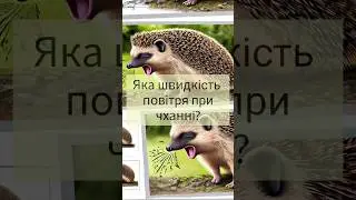 Яка швидкість повітря при чханні? #цікавіфакти