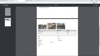 Custom PDF Printouts from SYNCHRO