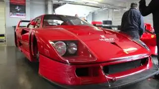 Ferrari F40 LM version walkaround