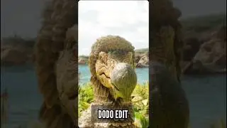 Учусь делать нормальные эдиты #ark #arksurvivalevolved #dodo #memes #viral #реки #шортс #shorts #fyp