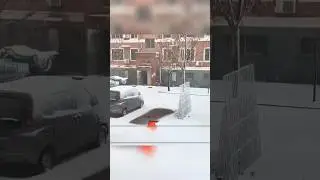 СПАСЕНИЕ ЩЕНКА 