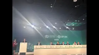 What Lackluster Progress at COP28 Means for California
