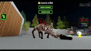 How to get ALL MORPHS in *NEW* ZOOCHOSIS MORPHS !