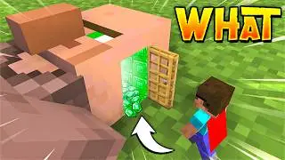 Minecraft But I Can Go INSIDE MOBS!