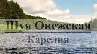 Сплав по Шуе Онежской в Карелии
