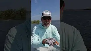 The Benefits Of Using CatchMap Software  #flatsfishing #inshore #fishing #fyp