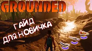 GROUNDED🐞ГАЙД ДЛЯ НОВИЧКА🐞ХАЛЯВНЫЕ ПРЕДМЕТЫ
