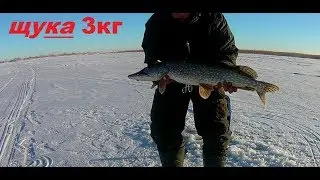 зимняя рыбалка на щуку. обзор озеро - белое озеро