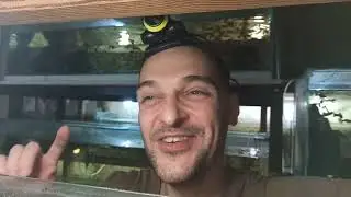 Заболели Рыбки - лечим!!! Надо ловить - ловим!!))