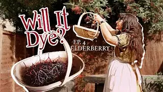 I tried dyeing fabric with ✨elderberries✨ | Will It Dye? Ep.4