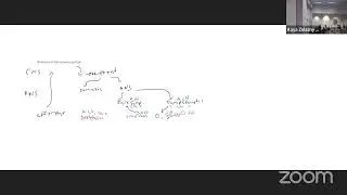 A&P Lecture