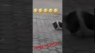 #funny