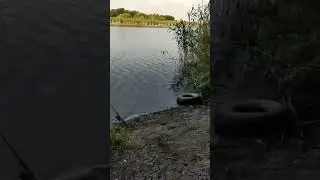 на карася 