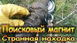 Интересная находка на поисковый магнит
