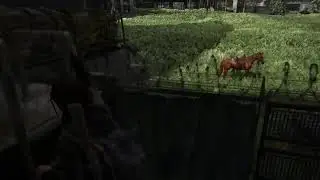 Last of us 2: Шарим по городу