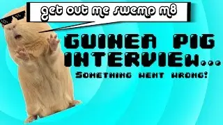 Cute Guinea Pig Interview - Fail!