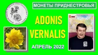 Монета: Адонис весенний / Памятные монеты Приднестровья
