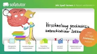 Von der Blüte zur Frucht – Bestäubung, Befruchtung & Fruchtentwicklung