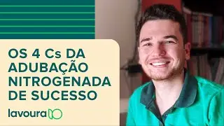 Adubação nitrogenada: um guia rápido de manejo para altas produtividades na lavoura
