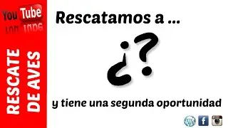 Rescatamos a ...