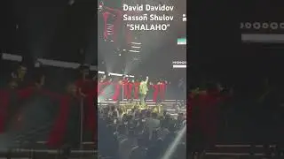 David Davidov & Sasson Shaulov "SHALAHO“