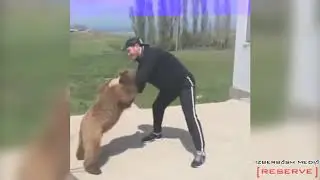 Хабиб айиқ билан машғулот қилмоқда