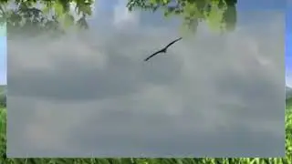 Очень красивая музыка самого популярного музыканта Сергея Чекалина к любимой песне "РЕКА"