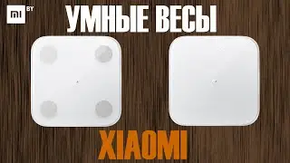 A review of XIAOMI smart scales. What's different about them and what makes them so smart?